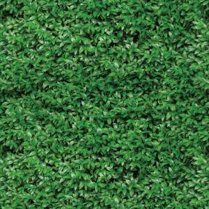 JARDIM TROPICAL FOLHAS
