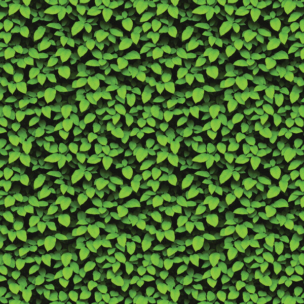 VERDE FRESCO FOLHAS