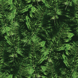 SELVA FOLHAS
