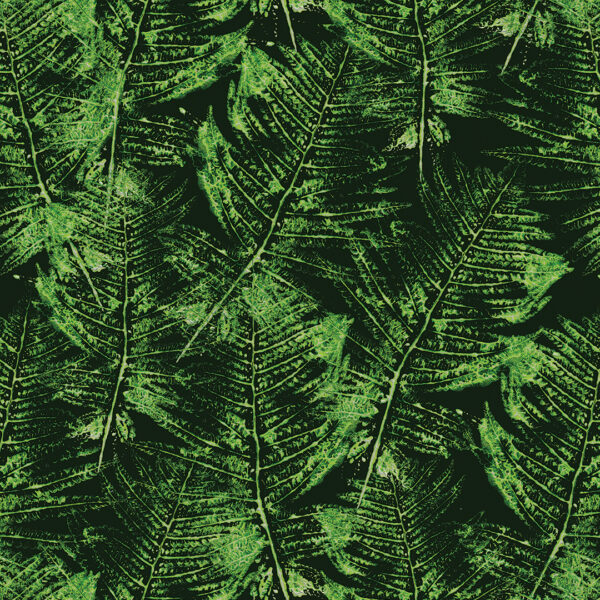 SELVA FOLHAS