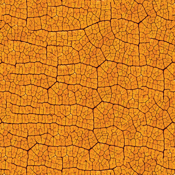 VEIA DA LARANJA FOLHAS