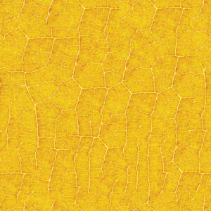VEIA AMARELO FOLHAS